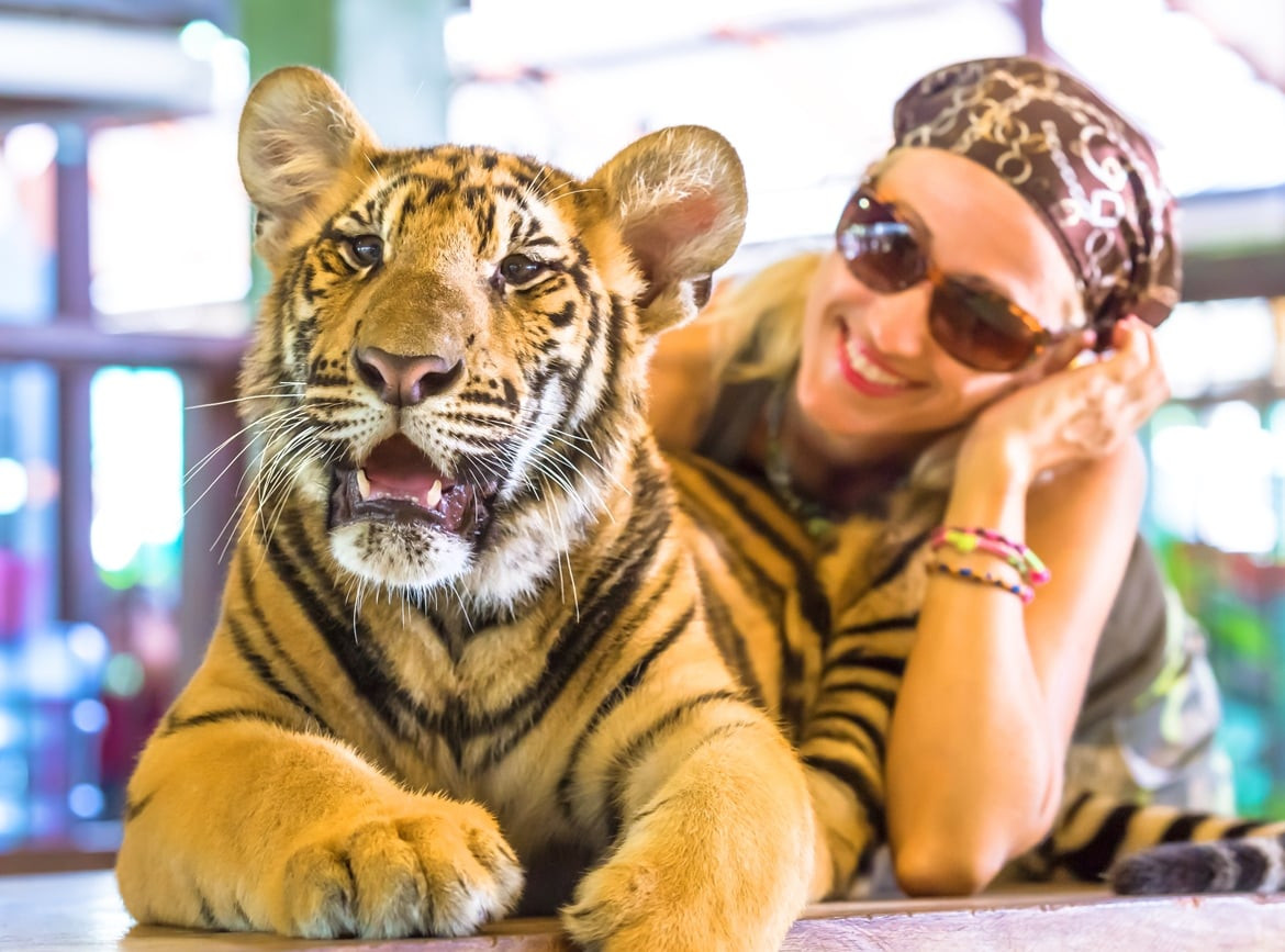 【虎哩普吉｜星級饗宴5天】5星酒店、皇室泰服體驗、手作泰式料理、虎哩拍照、友善象徑體驗、熱石精油SPA(6人成行)