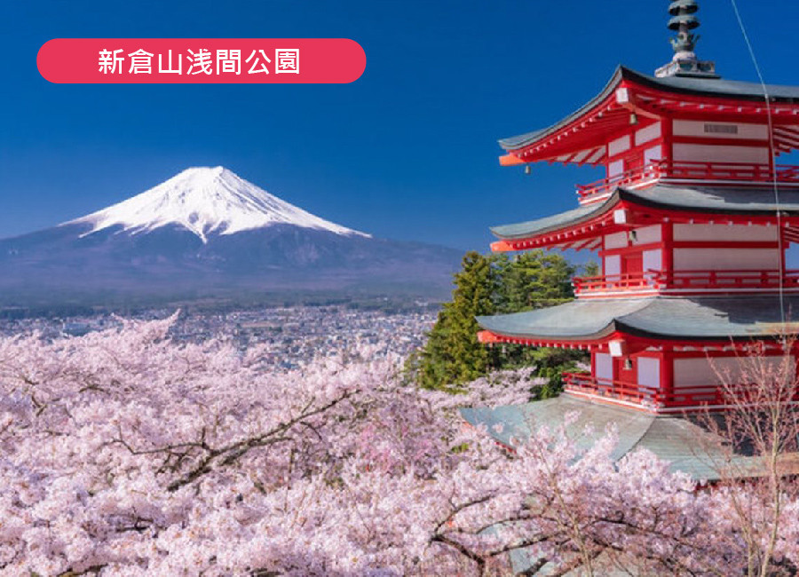 戀上粉紅櫻花海♯賞櫻限定東京富士山6日.採草莓.御殿場.櫻花大道.淺間神社.千鳥之淵.敍敍苑.目黑川.螃蟹吃到飽(泰獅）