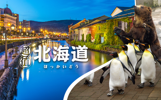 超值北海道５日－尼克斯海洋公園、企鵝遊行、卡娃伊熊牧場、浪漫小樽、支芴湖、羊蹄山名水公園、洞爺星空、螃蟹懷石料理