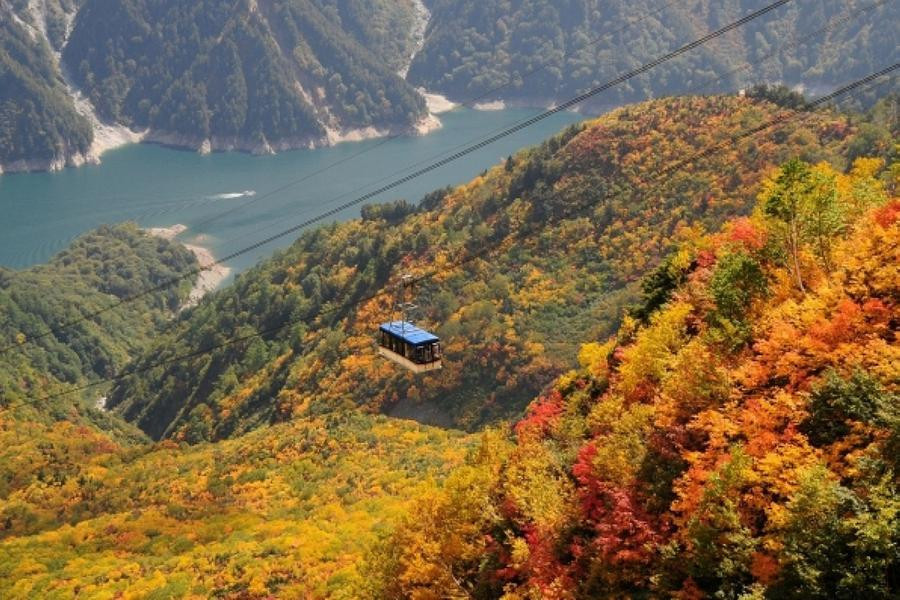 【精選富山】楓賞上高地、味享加賀屋、黑部立山、童話合掌、保住希爾頓5日