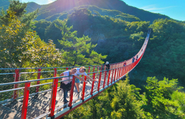 DMZ吊橋 & 遊船一日遊(首爾出發)