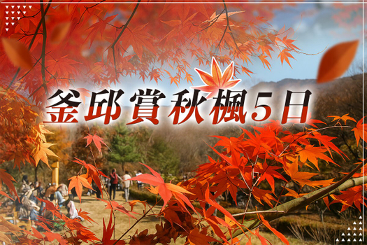 追楓早鳥省♯【fun韓假期-釜邱賞秋楓5日】長榮航空(不進肝蔘).加倻山國立公園.紅流洞溪谷.海印寺.道東書院.梵魚寺.金井山城.