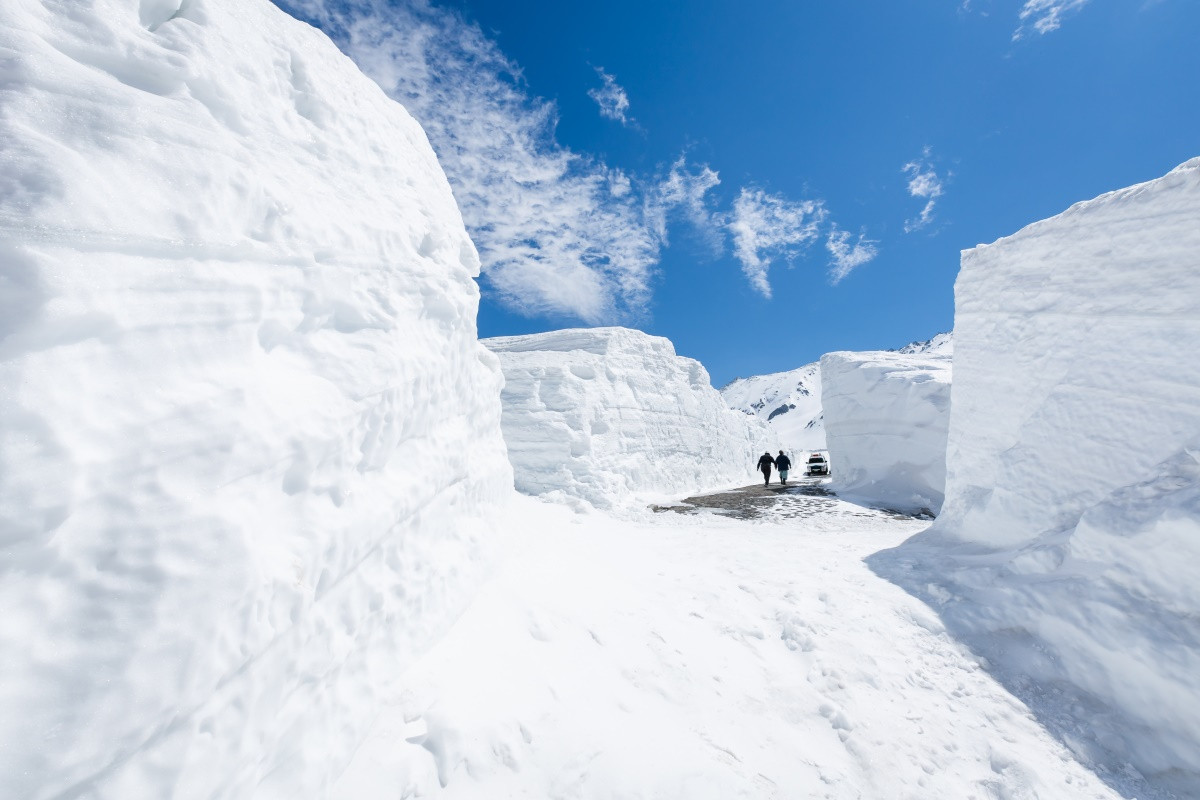 精緻假期~2025立山黑部動感雪牆.白川鄉合掌村.上高地.河口湖+粉蝶花+紫藤花+富士芝櫻六日