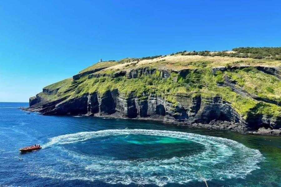 【珍愛濟州】蔚藍牛島珊瑚海、KITTY樂園、山茶花之丘、透明皮艇5日(不進人蔘.保肝)