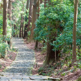 限定關西５日～下鴨神社、清水寺、大阪城公園、新京極商店街