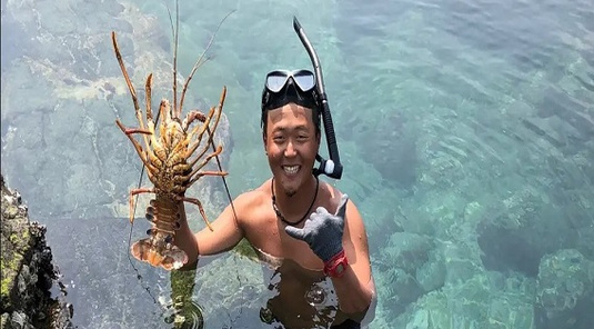 【銀海】東海龍蝦島、無人島巡航、SUP/透明獨木舟一日遊