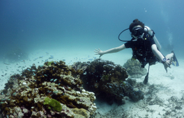 普吉島 PADI 五星潛水中心簡單潛水體驗