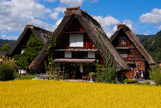 晚鳥俱樂部♯北陸漫遊｜賞櫻百選～新境川堤百十郎櫻.山崎川.鶴舞公園.長良川花見鐵道.合掌村.飛驒牛.高山.國寶犬山城.山車館.三光稻荷.溫泉6日