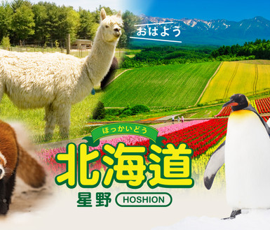 景點照片