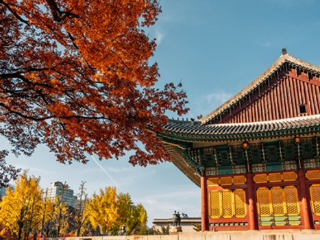 【楓紅首爾五日★不進人蔘保肝】秋日浪漫南怡島｜粉紫芒花草｜特色韓屋村｜首爾林浪漫賞楓｜德壽宮石牆路賞銀杏