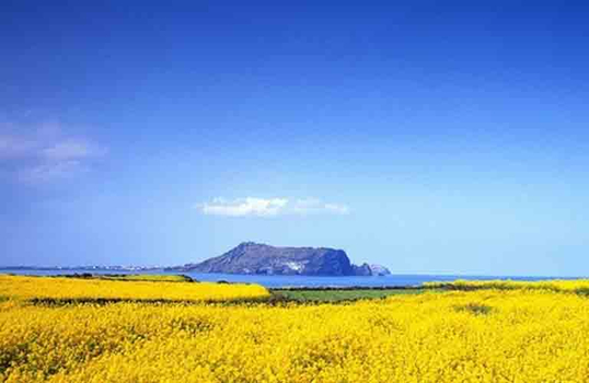 易起FUN寒假♯《不進人蔘+保肝》享戀濟州超值5日~歐洲英式森林小火車、跆拳武藝秀、自然遺產~城山日出峰、騎駱駝體驗、可口可樂觀海咖啡廳