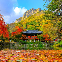 楓情萬種韓國三大名山賞楓去五天《不走人蔘保肝》內藏山國立公園、大芚山道立公園+龍門纜、北漢山步道【台中德威】