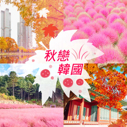 追楓早鳥省♯秋楓首爾5日〈彩妝一站〉-楊州Nari農園波波草、香草島足浴+香草茶、抱川藝術谷單軌車、良才市民之林、蠶院漢江公園