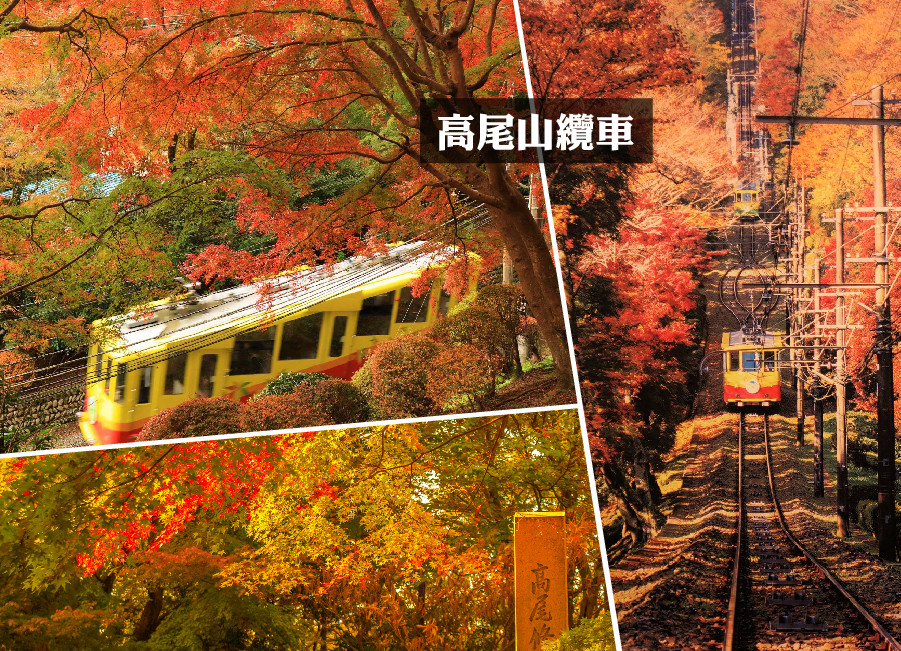 追楓早鳥省♯楓紅東京溫泉5日.高尾山紅葉纜車.河口湖紅葉迴廊.富士山景觀纜車.昭和紀念公園.黃金銀杏大道(泰獅航空)