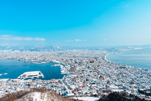 易遊戲雪～星宇冬玩北海道5天．企鵝散步+獼猴泡湯．函館百萬夜景．大沼戲雪4玩法．浪漫小樽．三大蟹放題．無自理(函館進出)
