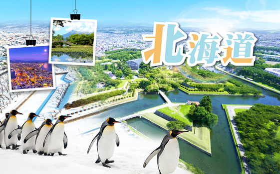暑假餘位揪團省♯特惠促銷北海道5日-企鵝漫步、米其林星空夜景、夢幻星型五稜廓、洞爺花火、啤酒暢飲、螃蟹懷石料理、螃蟹吃到飽