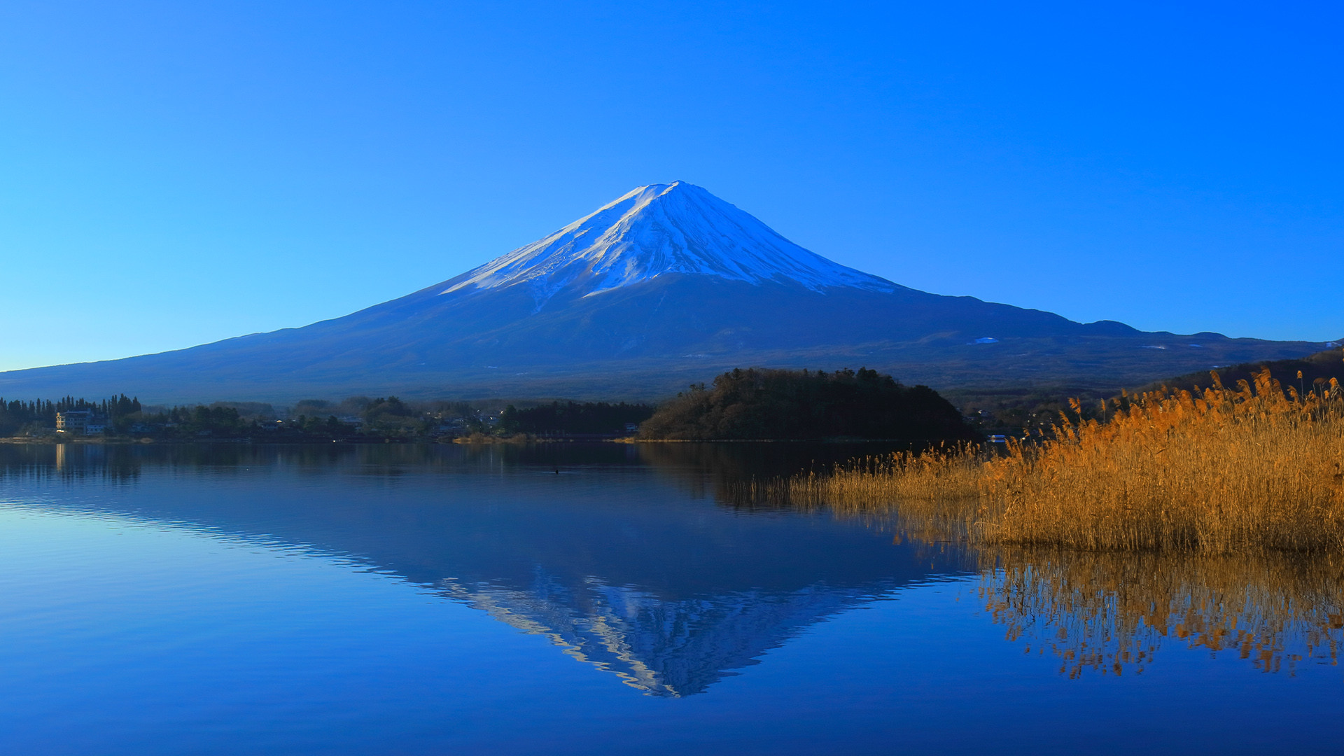 跟團限時省♯漫遊輕井澤～富士山絕景溫泉螃蟹５日～淺草觀音寺、鎌倉～鶴岡八幡宮、白絲瀑布、聖保羅教堂、川越老街