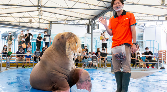 鳥羽水族館+伊勢神宮一日遊