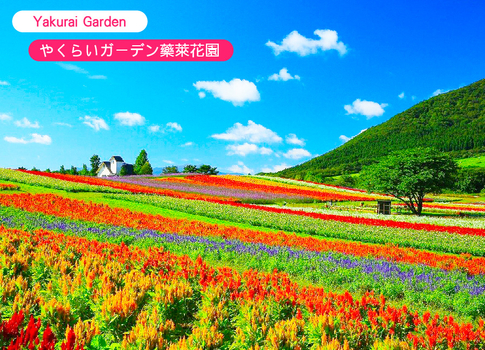 東北五色沼夢旅5日.銀山秘境.夢幻拼布花海.松島遊船.會津鐵道列車.大內宿.喜多方拉麵.入住一晚溫泉飯店