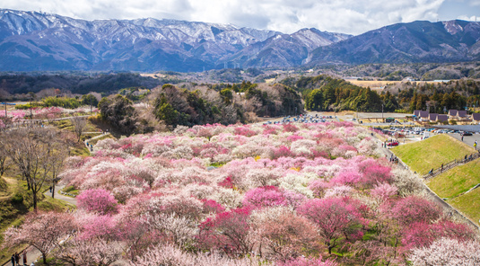 三重員辨市農業公園