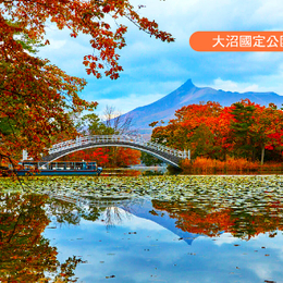 【北海道秋日限定】北海道楓葉溫泉5日.保住兩晚溫泉.米其林函館夜景纜車.洞爺湖.熊牧場.大沼紅葉.小樽漫遊.夜賞湖上花火