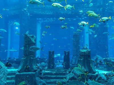 【暑假限定｜夢幻雙國 杜拜汶萊8日】亞特蘭提斯水族館 沙漠衝沙 天空之境 羅浮宮入內 阿拉伯遊船晚宴 杜拜購物中心