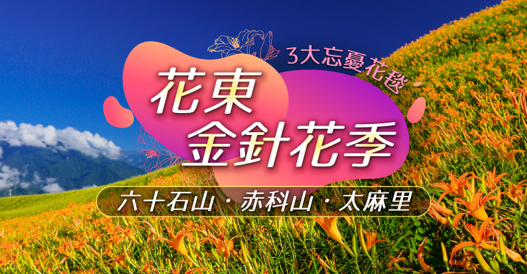 金針花季 金針花季