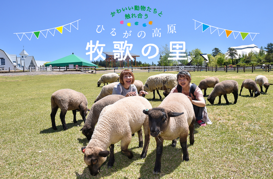 易遊嚴選~ 樂玩北陸5天．樂高樂園+水族館．哆啦A夢列車．牧歌之里夏日花海．兼六園．白川合掌村．飛驒高山(名/松)