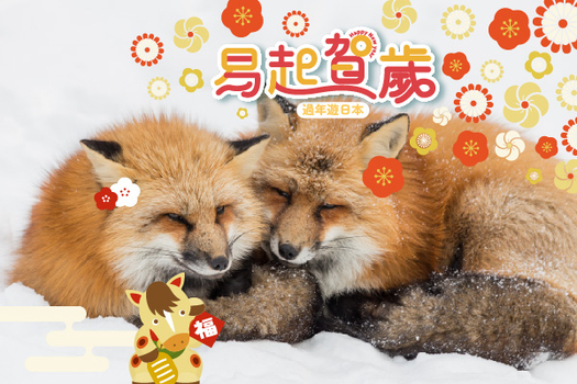 春節獨家限時省♯FUN春節．促銷東北藏王樹冰5日｜藏王樹冰、藏王狐狸村、合掌村大內宿、絕美只見線、金蛇水神社、松島散策、五大堂、百選會津若松城(仙/潟)