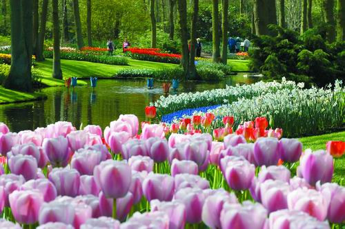 ◆魅力歐洲◆法比荷10天【鬱金香花園、羅浮宮凡爾賽、浪漫三城遊船、歐洲之桅登頂】