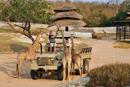 【馬上出發】親子爆紅長頸鹿吉普車、大城巡禮、最新侏儸紀公園 4日