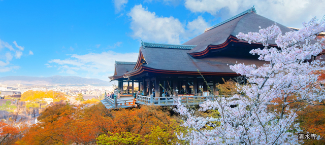 跟團即食行樂♯櫻戀．幸福關西５日〜蹴上傾斜鐵道、清水寺、和服體驗