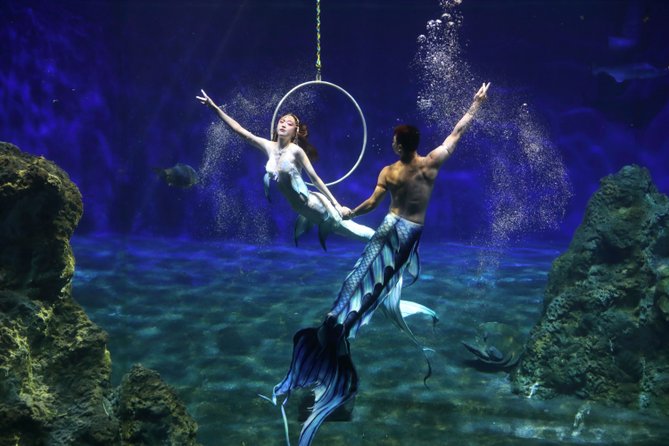 ▼ 夢幻人魚夜未眠:觀賞美人魚的神秘傳說表演 ▼ 夢幻人魚夜未眠:觀賞美人魚的神秘傳說表演