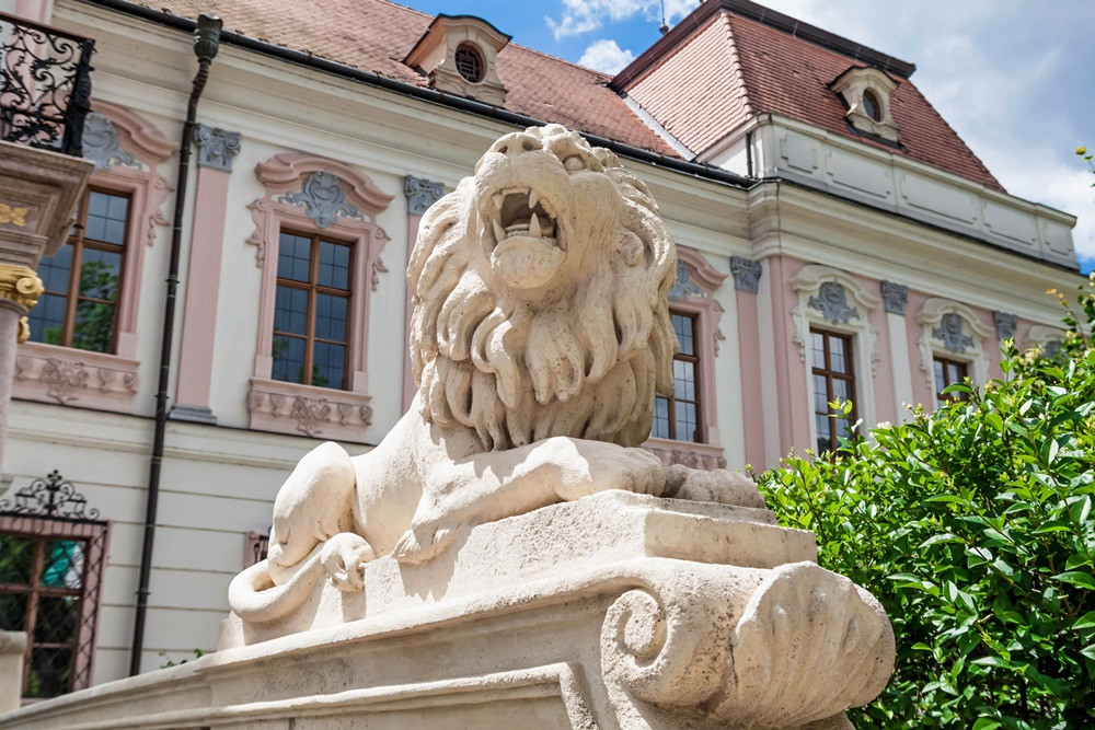 main-photo