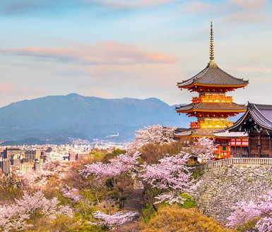 預約粉紅櫻花季 京挑細選賞櫻去 和歌山城 清水寺 東大寺 浪漫小火車 嵐山渡月橋 環球影城賞櫻五日 It210 It211 關團